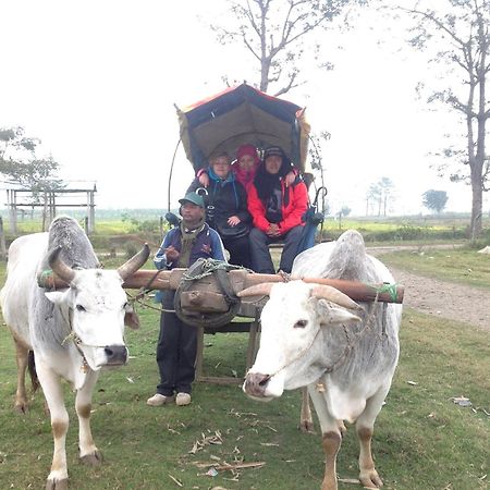 Everest Home Stay Apartment Lalitpur Eksteriør bilde