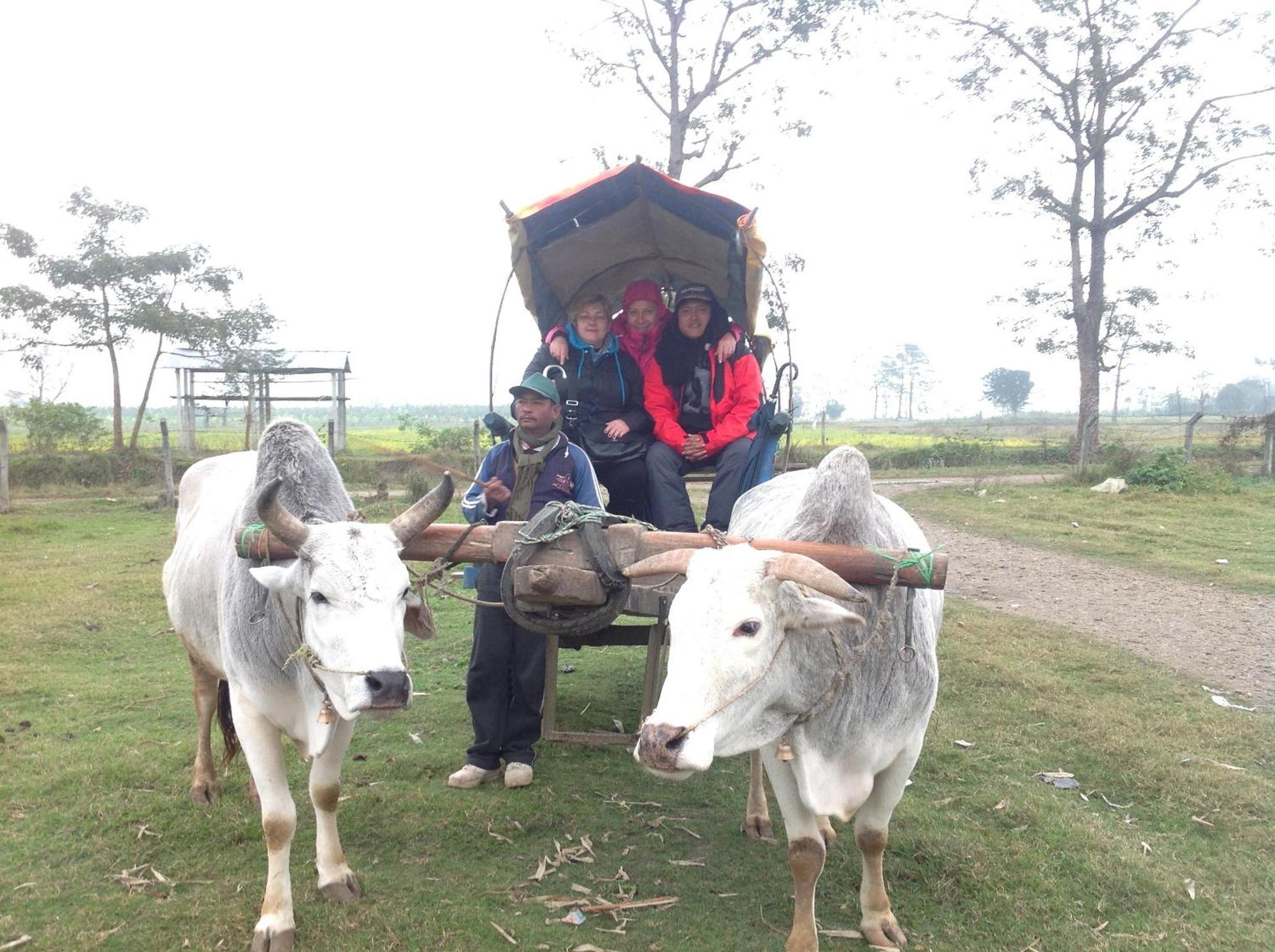 Everest Home Stay Apartment Lalitpur Eksteriør bilde