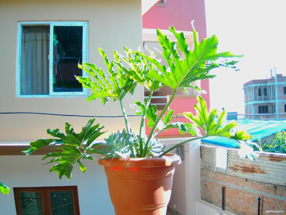 Everest Home Stay Apartment Lalitpur Eksteriør bilde